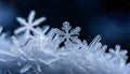 Intricate snowflakes resting on smooth surface, revealing delicate crystalline structures with sharp macro details Royalty Free Stock Photo