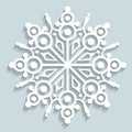 Snowflakes cut paper Royalty Free Stock Photo