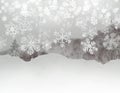 Snowflakes fall, ice texture, silvery trees and snow background