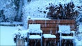 Snowflakes falling down, winter landscape garden