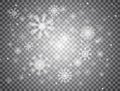 Snowflakes falling on transparent background. Realistic heavy snowfall texture. Winter design with snow and snowflakes Royalty Free Stock Photo