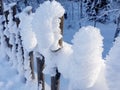 Snowflakes in the form of crystals frozen on a wooden fence