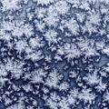 Snowflakes and frost on frozen window glass