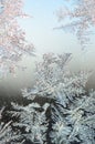 Snowflakes frost rime macro on window glass pane