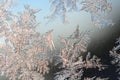 Snowflakes frost rime macro on window glass pane