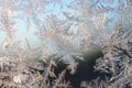 Snowflakes frost rime macro on window glass pane