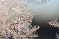 Snowflakes frost rime macro on window glass pane Royalty Free Stock Photo