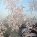 Snowflakes frost rime macro on window glass pane