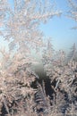 Snowflakes frost rime macro on window glass pane