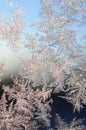 Snowflakes frost rime macro on window glass pane Royalty Free Stock Photo