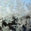 Snowflakes frost rime macro on window glass pane Royalty Free Stock Photo