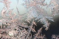 Snowflakes frost rime macro on window glass pane