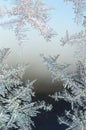 Snowflakes frost rime macro on window glass pane