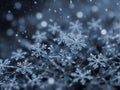 snowflakes ice crystal snow on frozen flowers and plants winter nature abstract Royalty Free Stock Photo