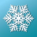 snowflakes in papercut style