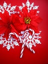 Snowflakes and poinsettias