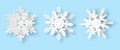 Snowflakes set paper cut 3d origami with shadow Royalty Free Stock Photo