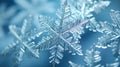 Snowflakes on smooth gradient background. Snow crystals on glass surface Royalty Free Stock Photo