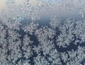 Snowflakes on windowpane at early winter dawn