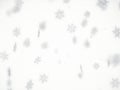 Snowflakes, winter elements isolated on white background Royalty Free Stock Photo