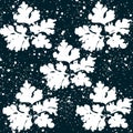 Snowflowers that look like snowflakes and snow for your winter Royalty Free Stock Photo