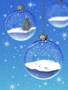 Snowglobe