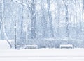 Snowing Royalty Free Stock Photo