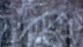 It is snowing abstract