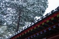 Snowing Chinese eaves 2 Royalty Free Stock Photo