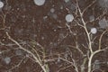Snowing In Darkness Royalty Free Stock Photo