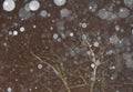 Snowing In Darkness Royalty Free Stock Photo