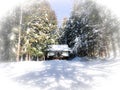 Snowing time at Jigokudani Snow Monkey Park Japan