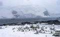 Snowing Gentoo Penguins Old Whaling Camp Mikkelsen Harbor Antarctica