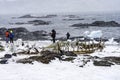 Snowing Gentoo Penguins Tourists Old Whaling Camp Mikkelsen Harbor Antarctica