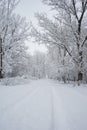 Snowing landscape