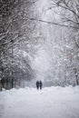 Snowing landscape in the park with people passing by Royalty Free Stock Photo