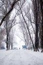 Snowing landscape in the park with people passing by Royalty Free Stock Photo