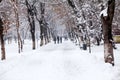 Snowing landscape in the park with people passing by Royalty Free Stock Photo