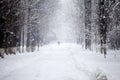 Snowing landscape in the park with people passing by Royalty Free Stock Photo