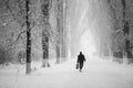 Snowing landscape in the park with people passing by Royalty Free Stock Photo