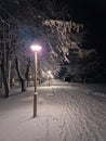 Snowing night scene in the winter park with a view to the street lamp light and snowflakes falling