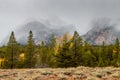 Snowing in the Tetons Royalty Free Stock Photo