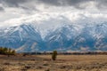 Snowing in the Tetons Royalty Free Stock Photo