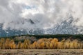 Snowing in the Tetons Royalty Free Stock Photo