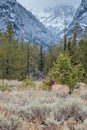 Snowing in the Tetons Royalty Free Stock Photo