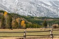 Snowing in the Tetons Royalty Free Stock Photo
