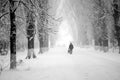 Snowing urban landscape with people