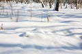 Snowing winter background. Royalty Free Stock Photo