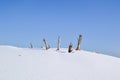 Snowlandscape in the winter. Royalty Free Stock Photo