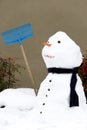 Snowman Royalty Free Stock Photo